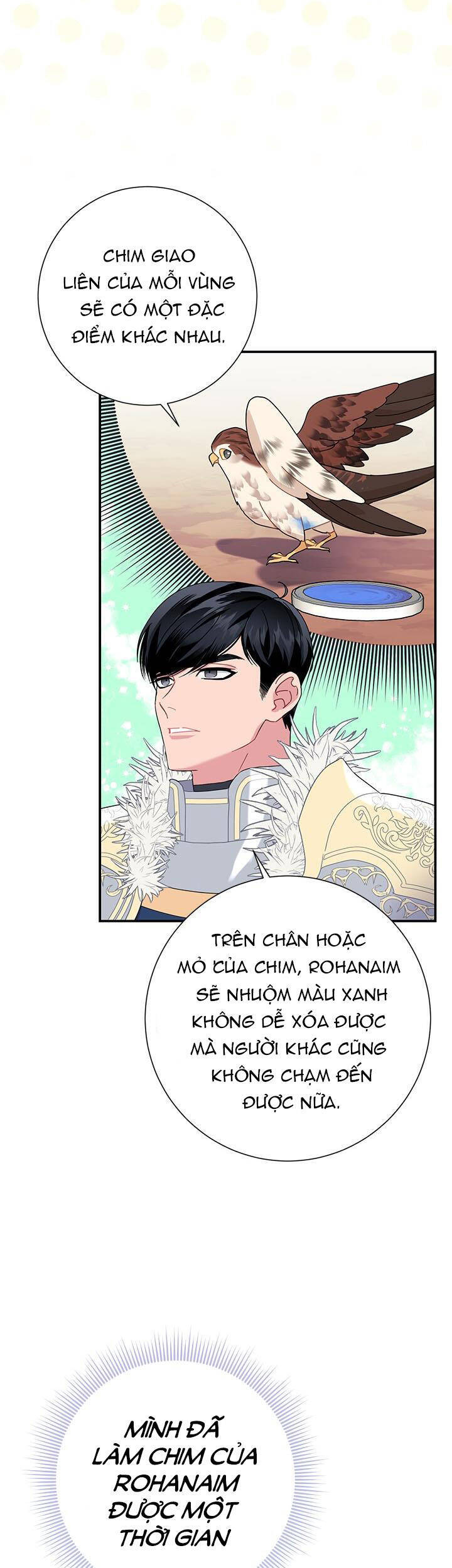 Công Chúa Của Loài Chim Chapter 54 - 3