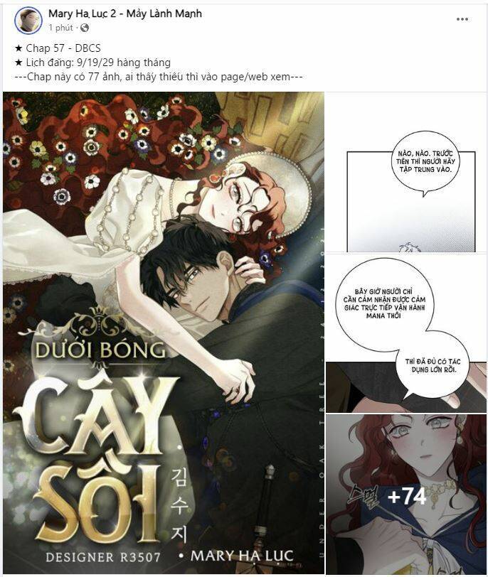 Dưới Bóng Cây Sồi Chapter 57.2 - 22