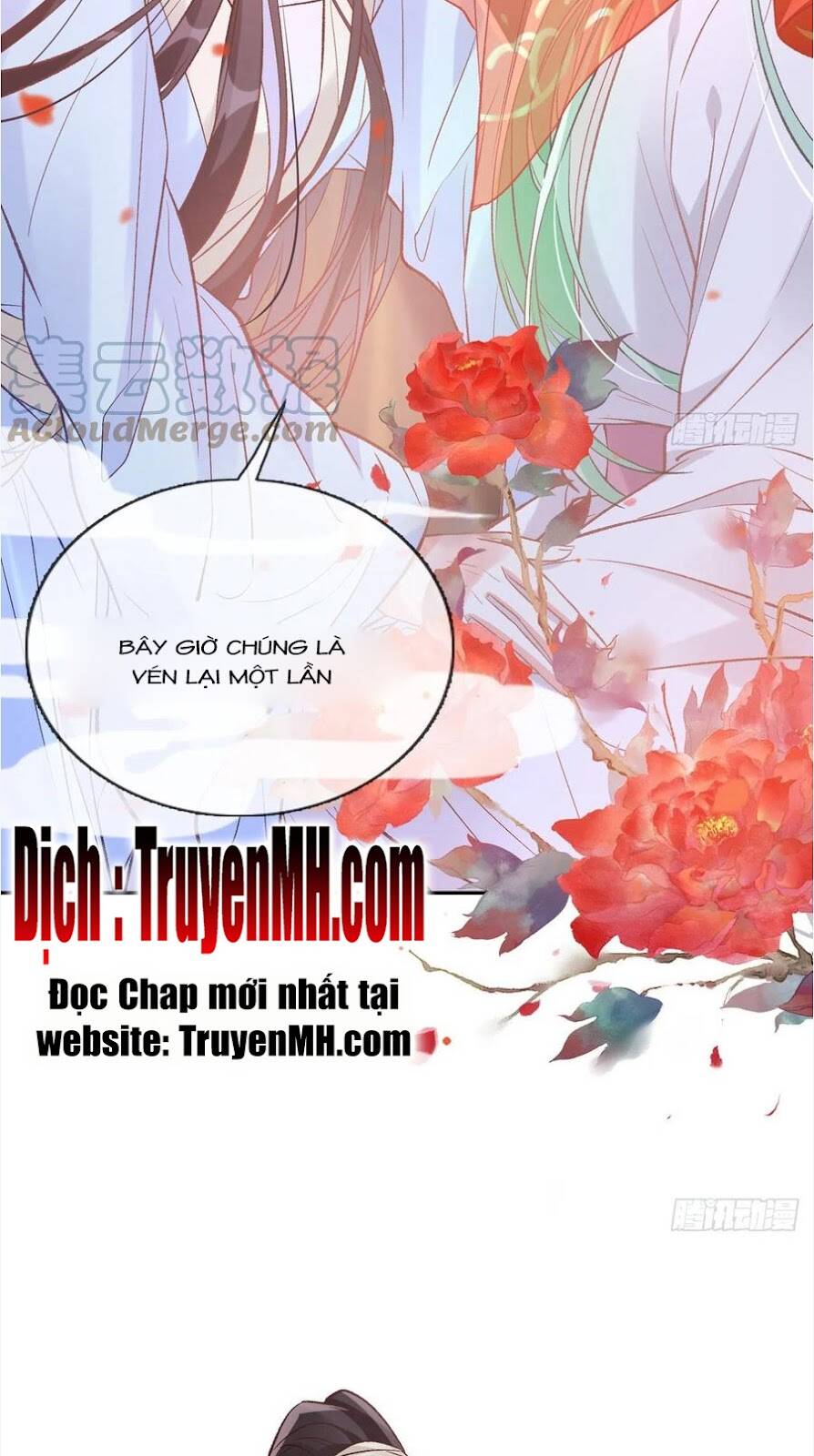 Kiều Mỵ Phu Lang, Tại Tuyến Lục Trà Chapter 101 - 13