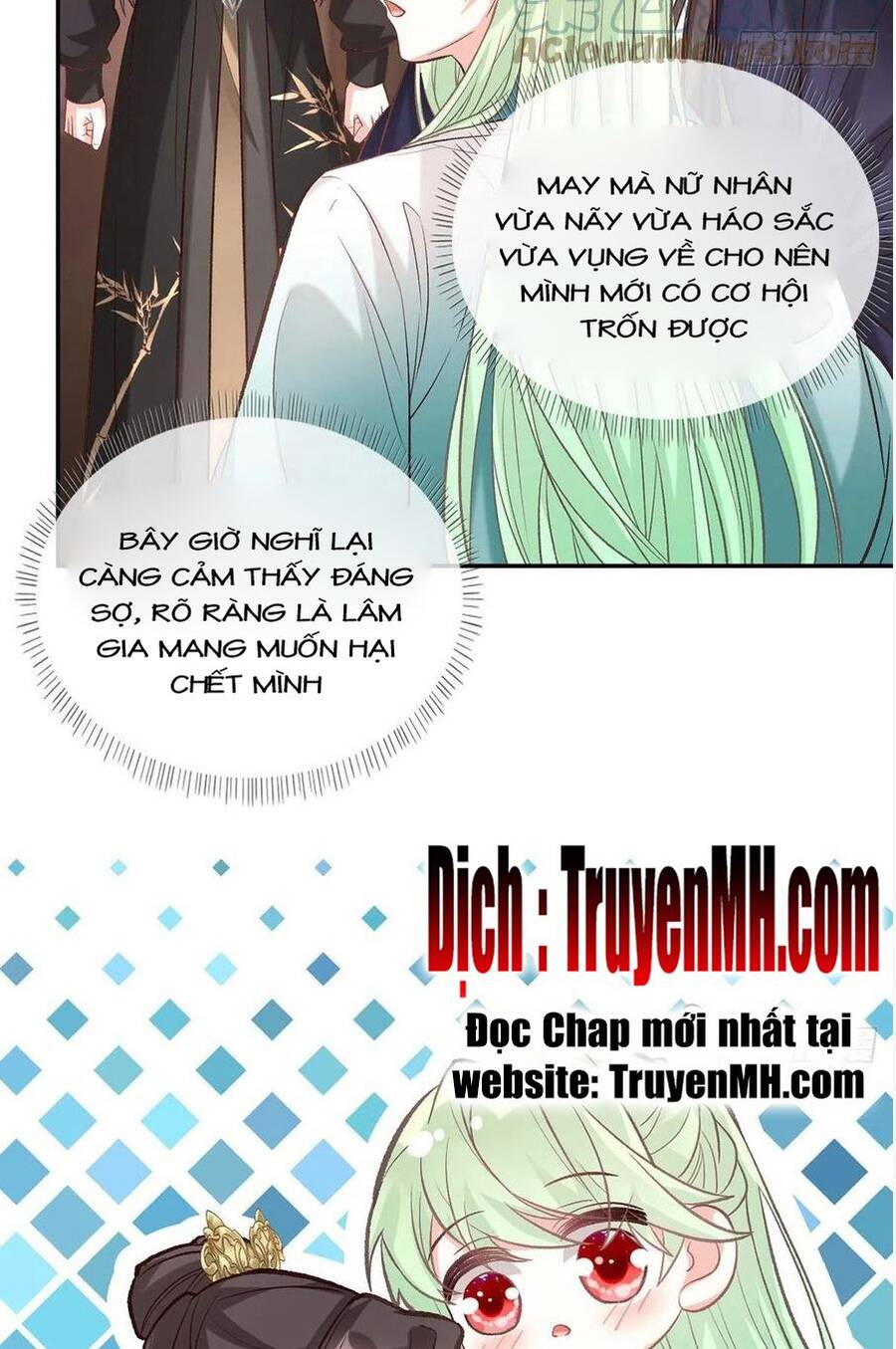 Kiều Mỵ Phu Lang, Tại Tuyến Lục Trà Chapter 68 - 11