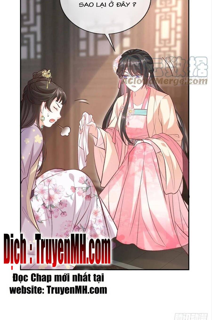 Kiều Mỵ Phu Lang, Tại Tuyến Lục Trà Chapter 68 - 13