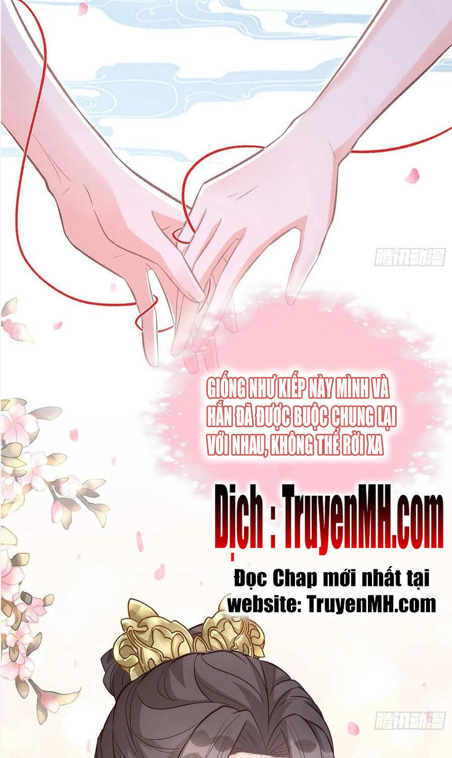 Kiều Mỵ Phu Lang, Tại Tuyến Lục Trà Chapter 71 - 2