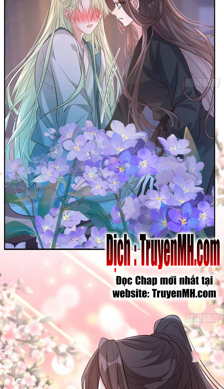 Kiều Mỵ Phu Lang, Tại Tuyến Lục Trà Chapter 76 - 6