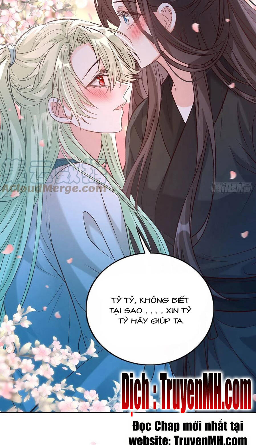 Kiều Mỵ Phu Lang, Tại Tuyến Lục Trà Chapter 76 - 7