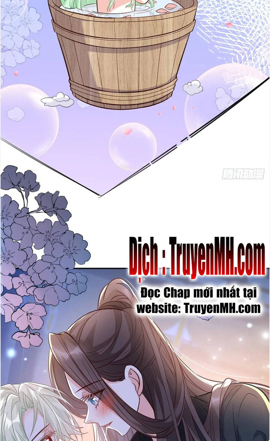 Kiều Mỵ Phu Lang, Tại Tuyến Lục Trà Chapter 77 - 11