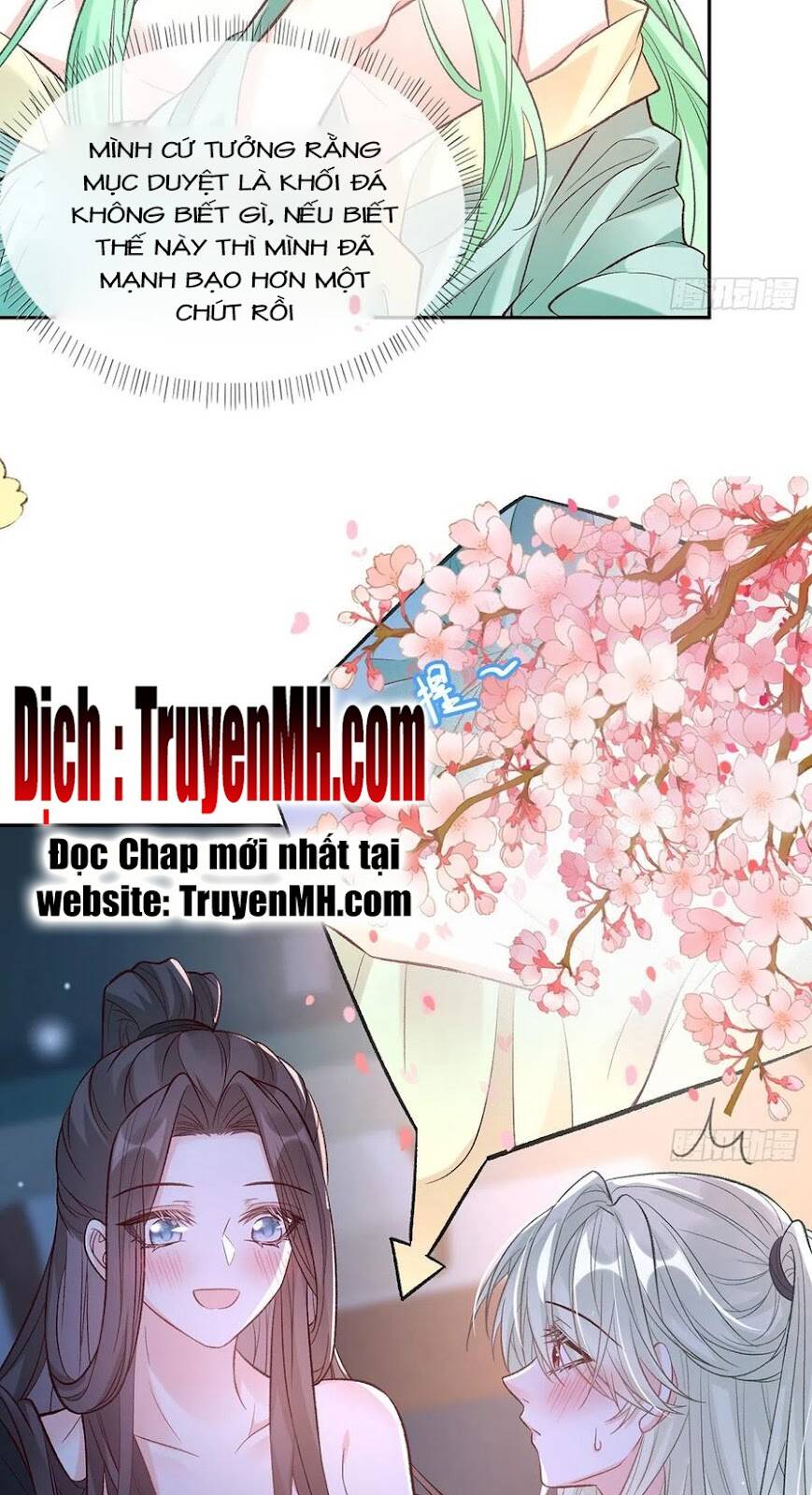 Kiều Mỵ Phu Lang, Tại Tuyến Lục Trà Chapter 78 - 4