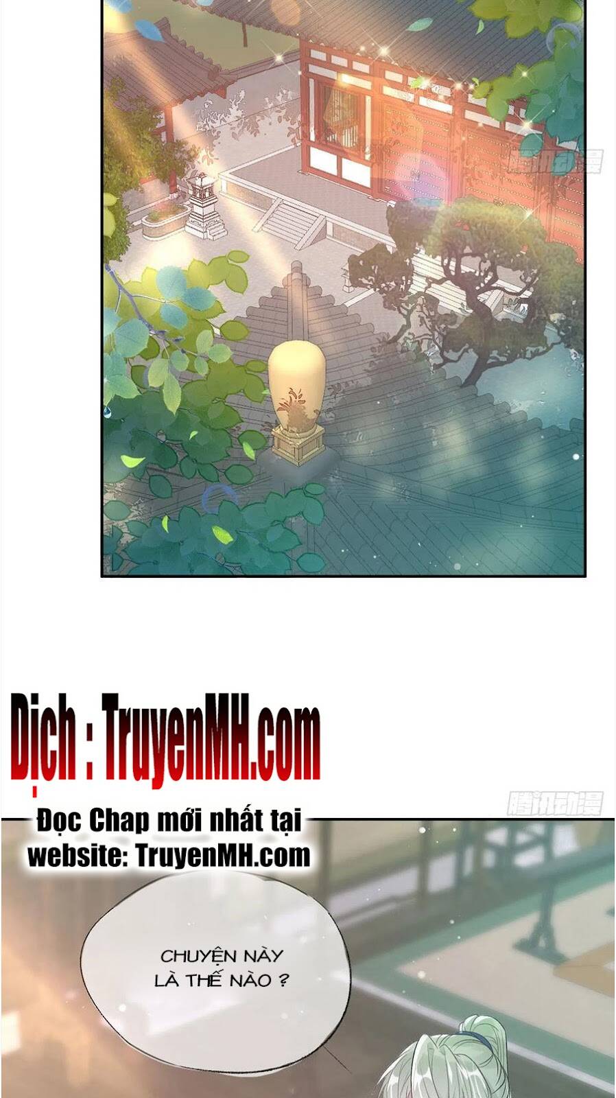 Kiều Mỵ Phu Lang, Tại Tuyến Lục Trà Chapter 95 - 17