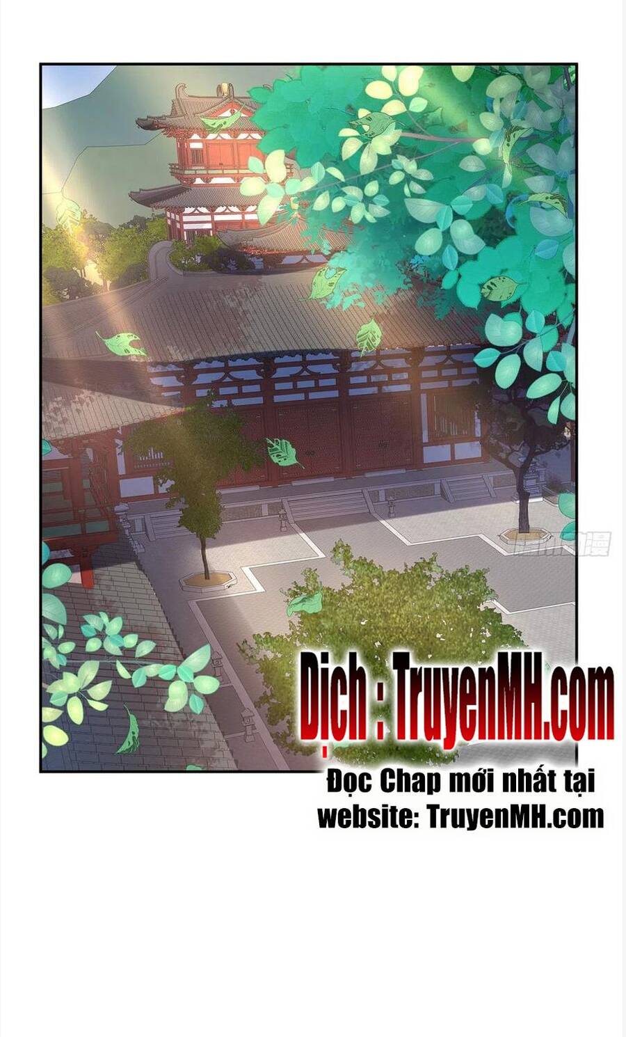 Kiều Mỵ Phu Lang, Tại Tuyến Lục Trà Chapter 69 - 2