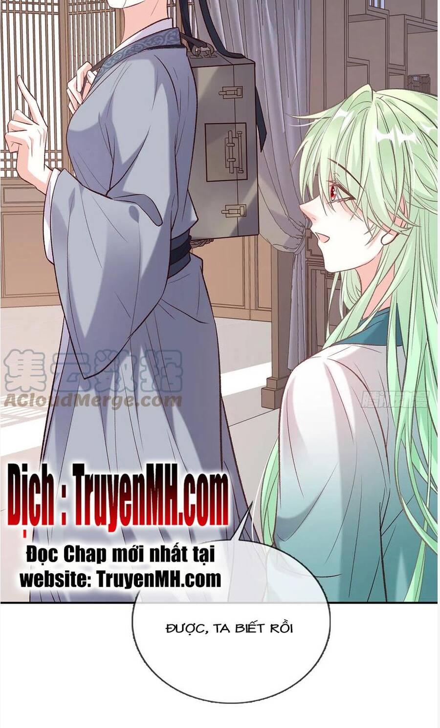 Kiều Mỵ Phu Lang, Tại Tuyến Lục Trà Chapter 69 - 7