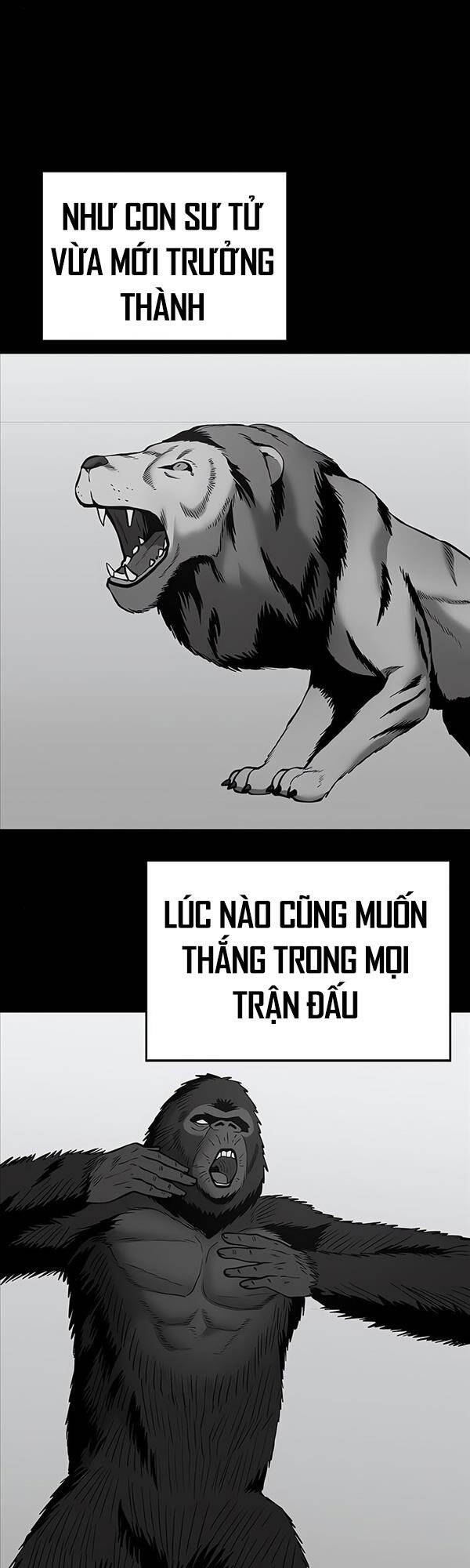 Giang Hồ Thực Thi Công Lý Chapter 49 - 8