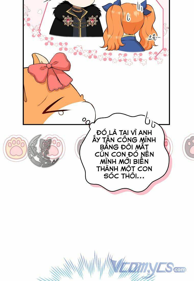 Sóc Nhỏ Tài Năng Chapter 11 - 39