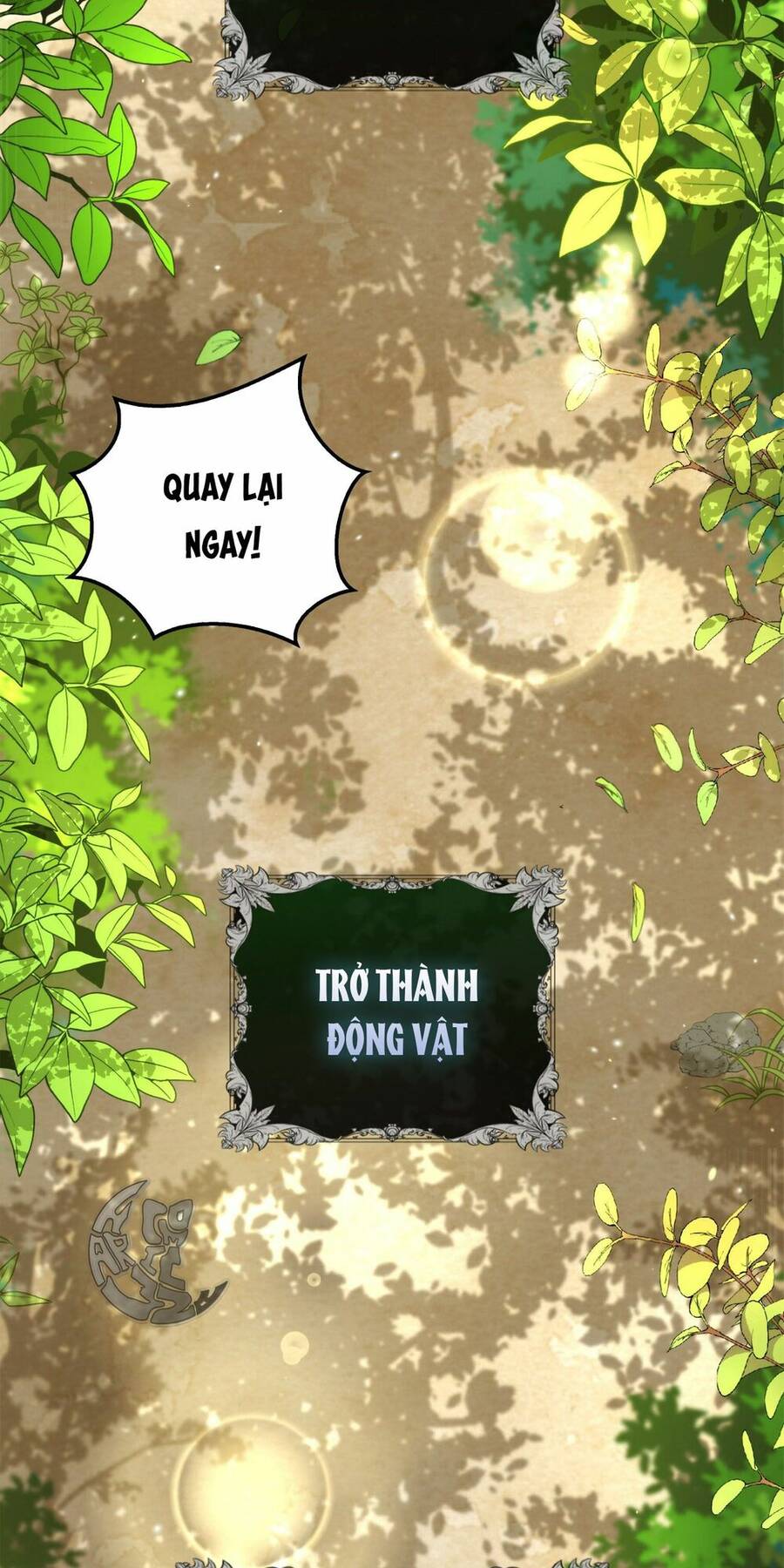 Sóc Nhỏ Tài Năng Chapter 2 - 78