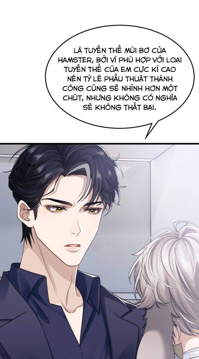 Chấp Sự Thỏ Cụp Tai Chapter 11 - 16