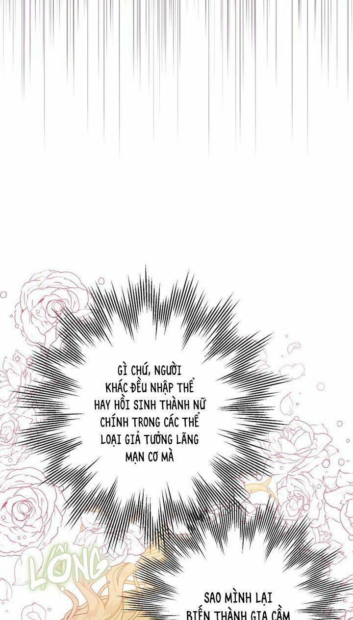 Bỗng Nhiên Tôi Trở Thành Quạ Đen!! Chapter 1 - 26