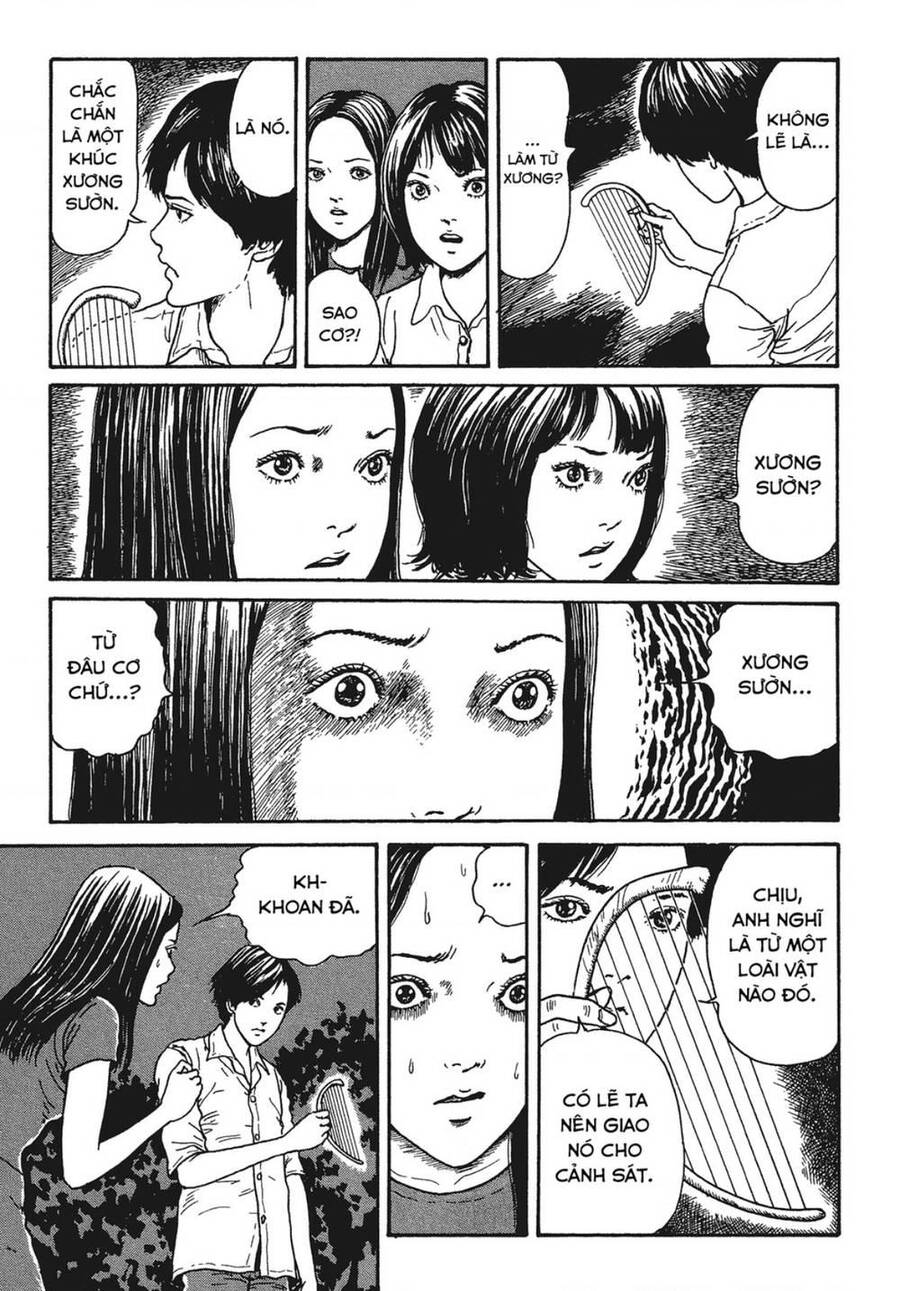 Tình Yêu: Tuyển Tập Câu Chuyện Của Junji Ito Chapter 9 - 16