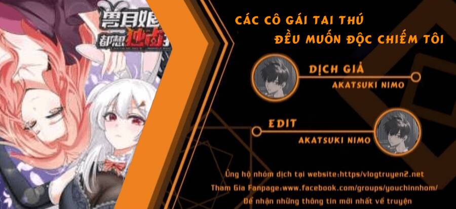 Các Cô Gái Tai Thú Đều Muốn Độc Chiếm Tôi Chapter 5 - 3