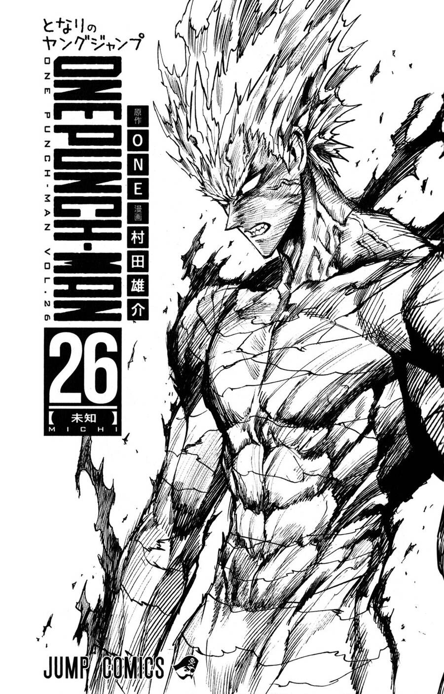 Onepunch Man Chapter 214.5 - 11