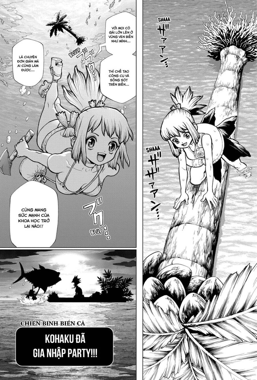 Dr.stone Chapter 232.6 - 23