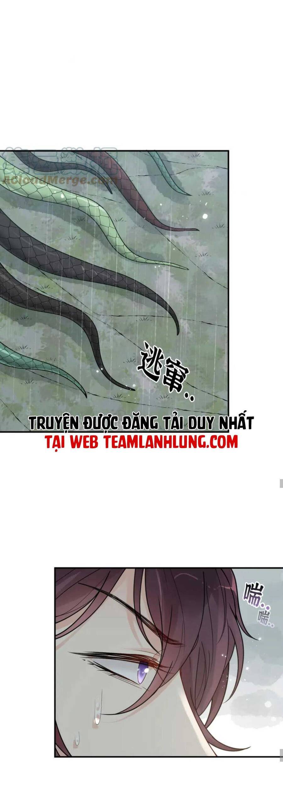 Cô Vợ Hợp Đồng Bỏ Trốn Của Tổng Giám Đốc Chapter 479 - 14