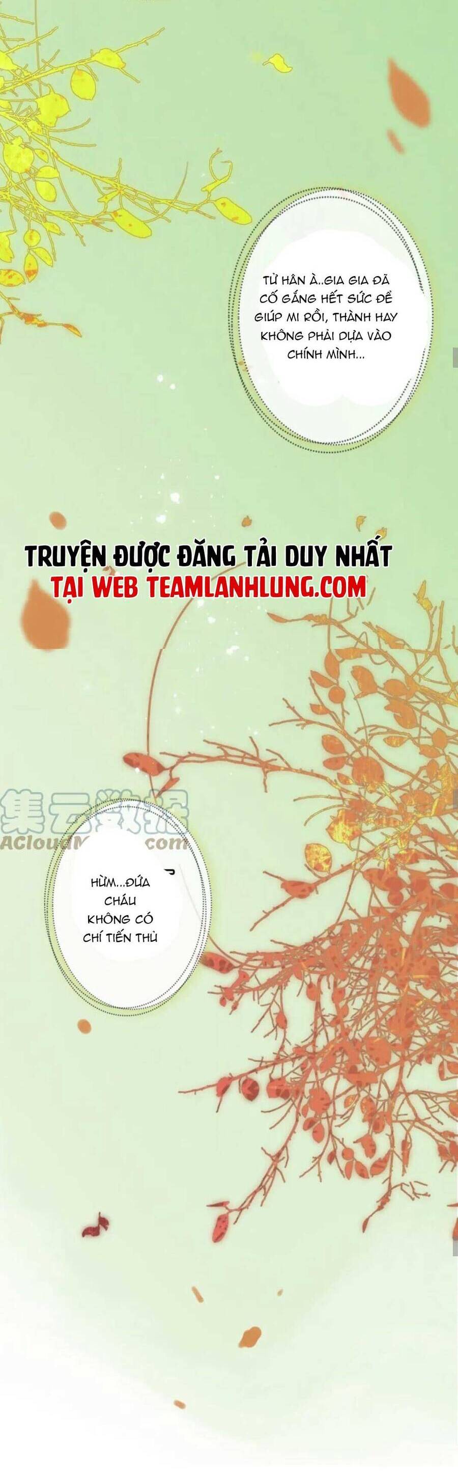 Cô Vợ Hợp Đồng Bỏ Trốn Của Tổng Giám Đốc Chapter 485 - 15