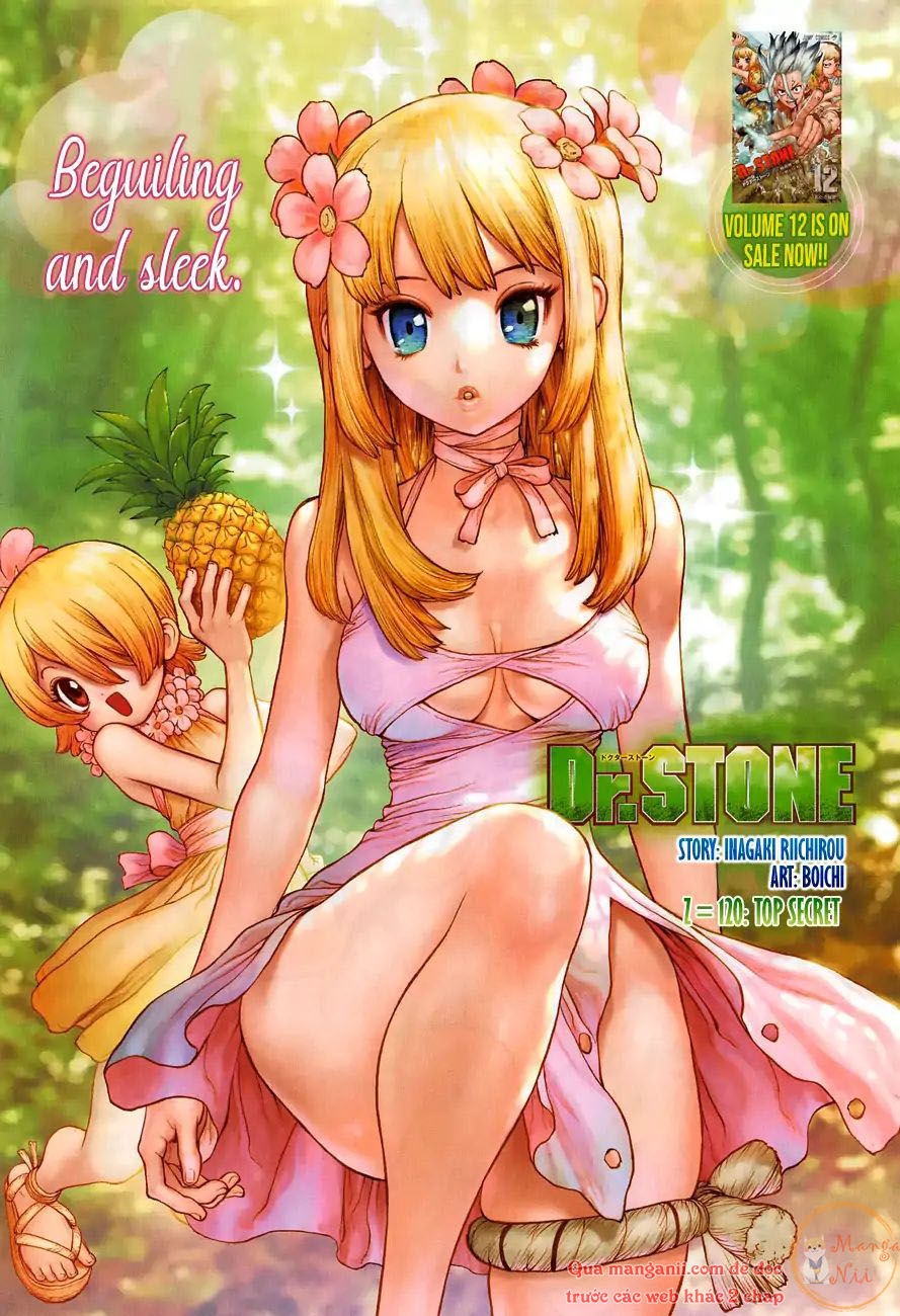 Dr.stone Chapter 120 - 1