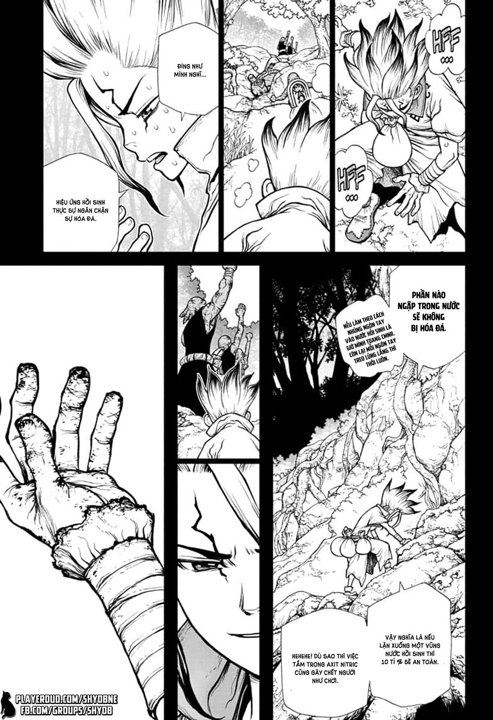 Dr.stone Chapter 135 - 12