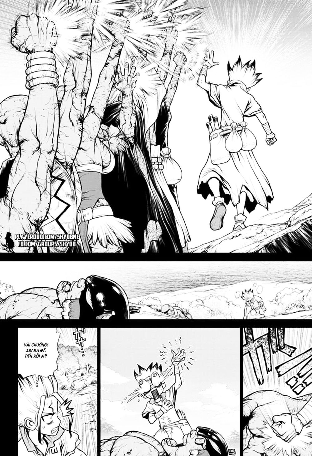 Dr.stone Chapter 135 - 13