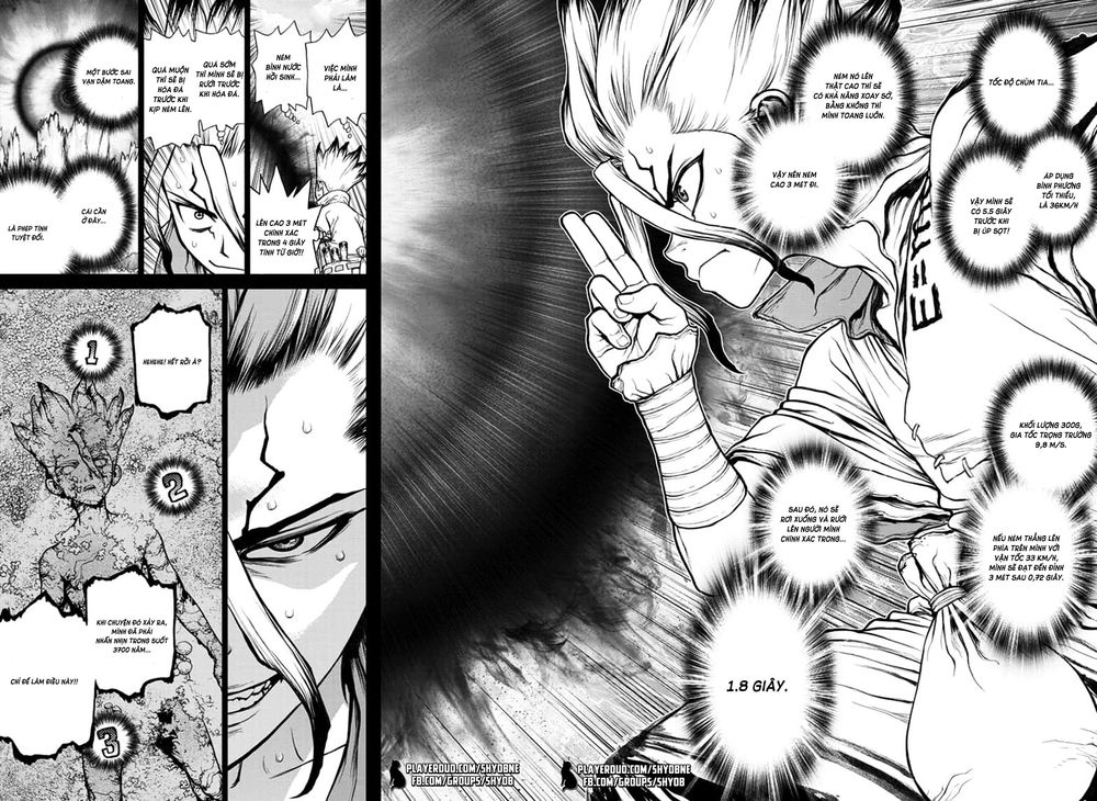 Dr.stone Chapter 135 - 8