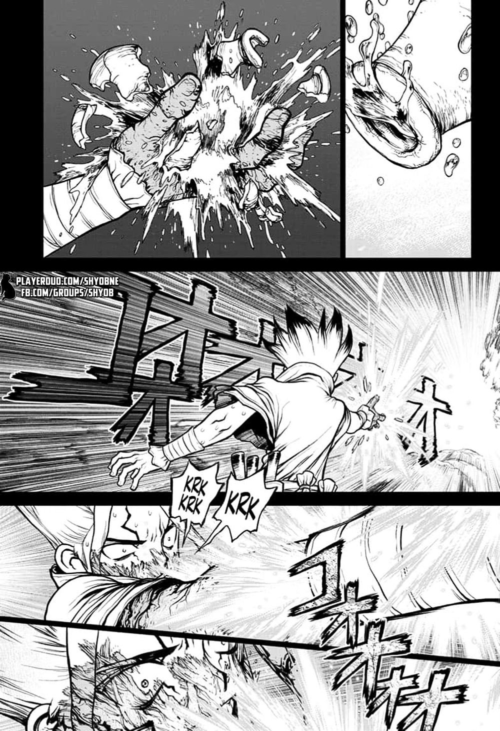 Dr.stone Chapter 135 - 10