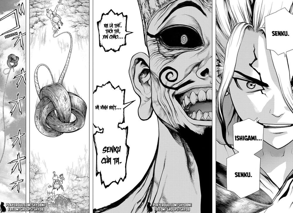 Dr.stone Chapter 136 - 11