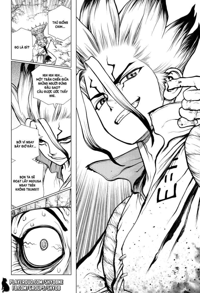 Dr.stone Chapter 136 - 17