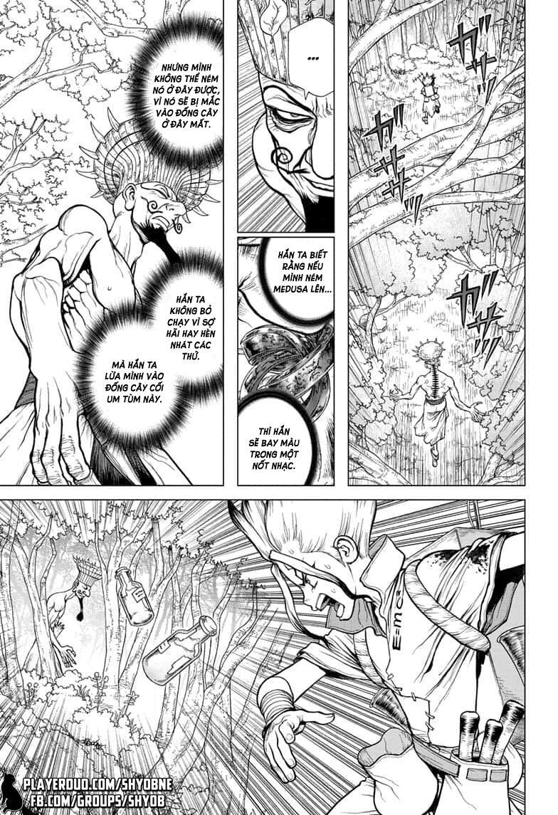 Dr.stone Chapter 136 - 6