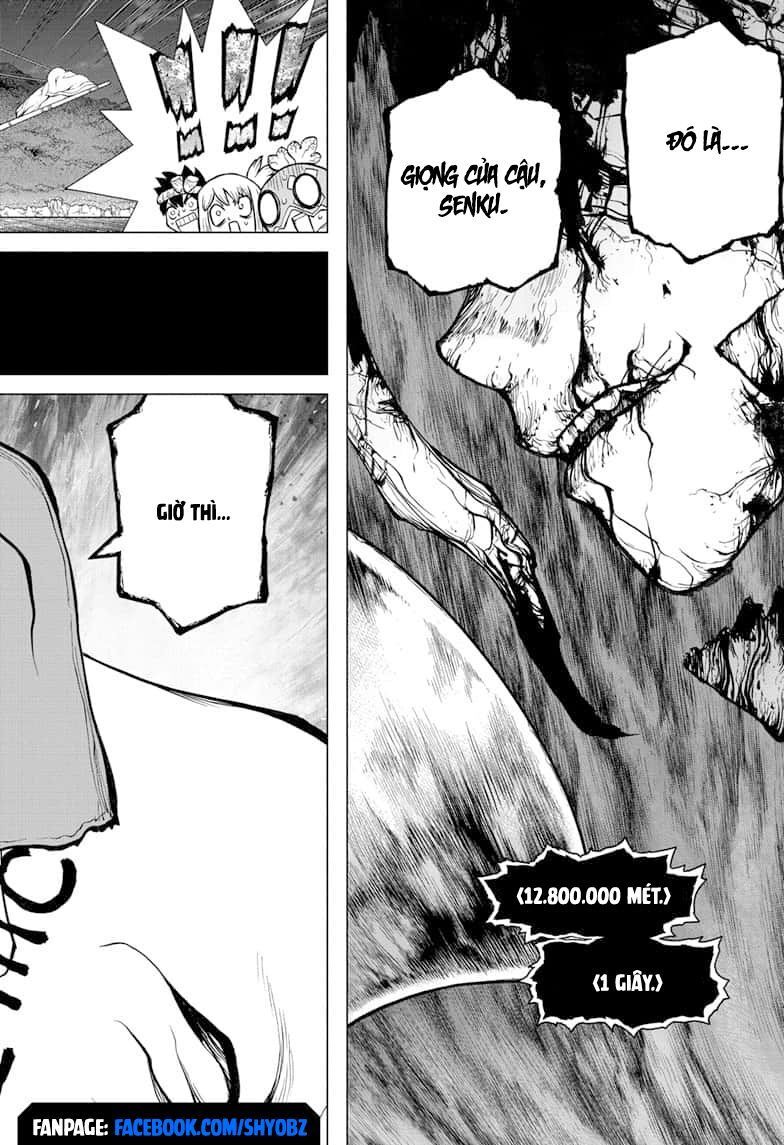 Dr.stone Chapter 138 - 19