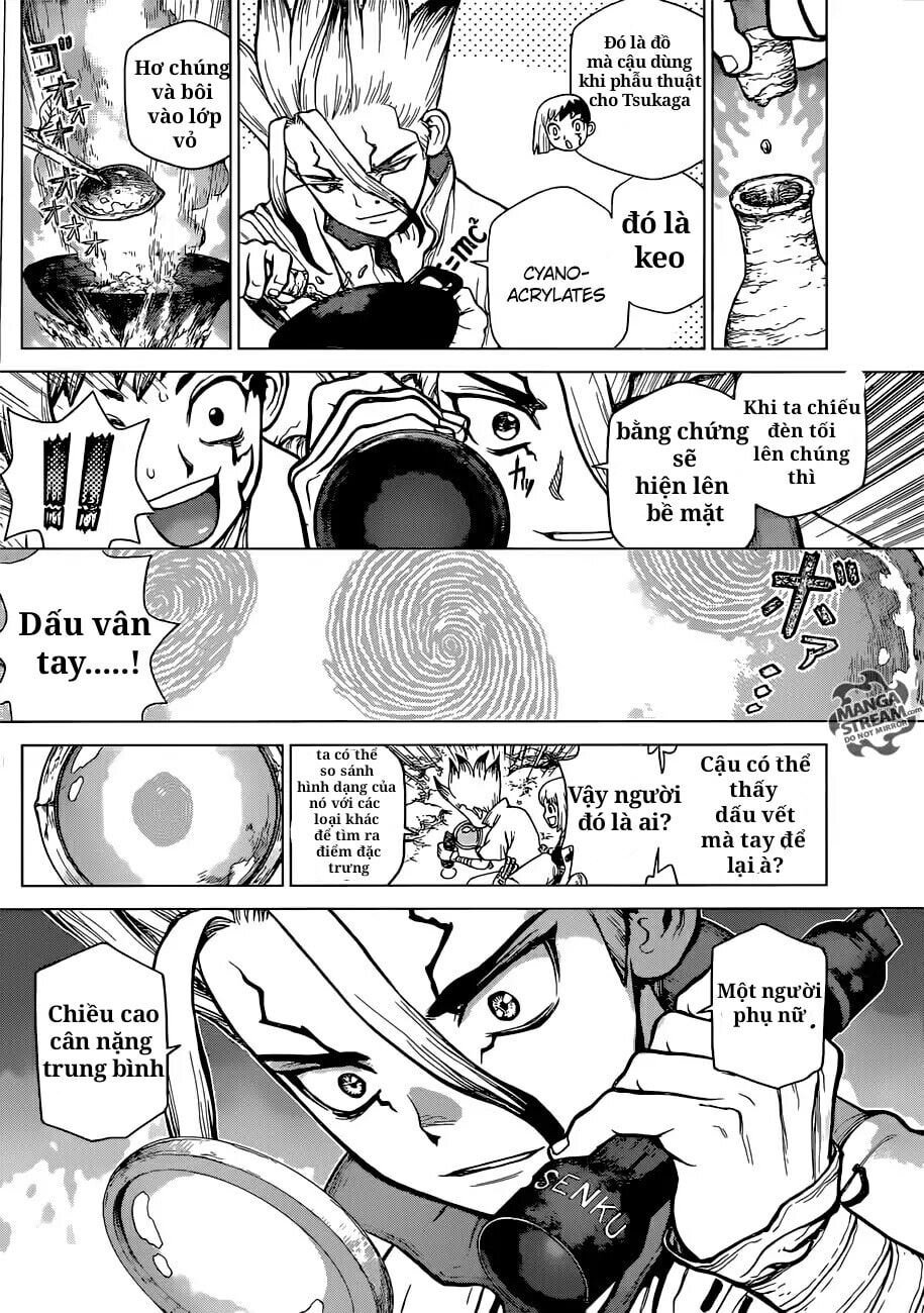 Dr.stone Chapter 104 - 10