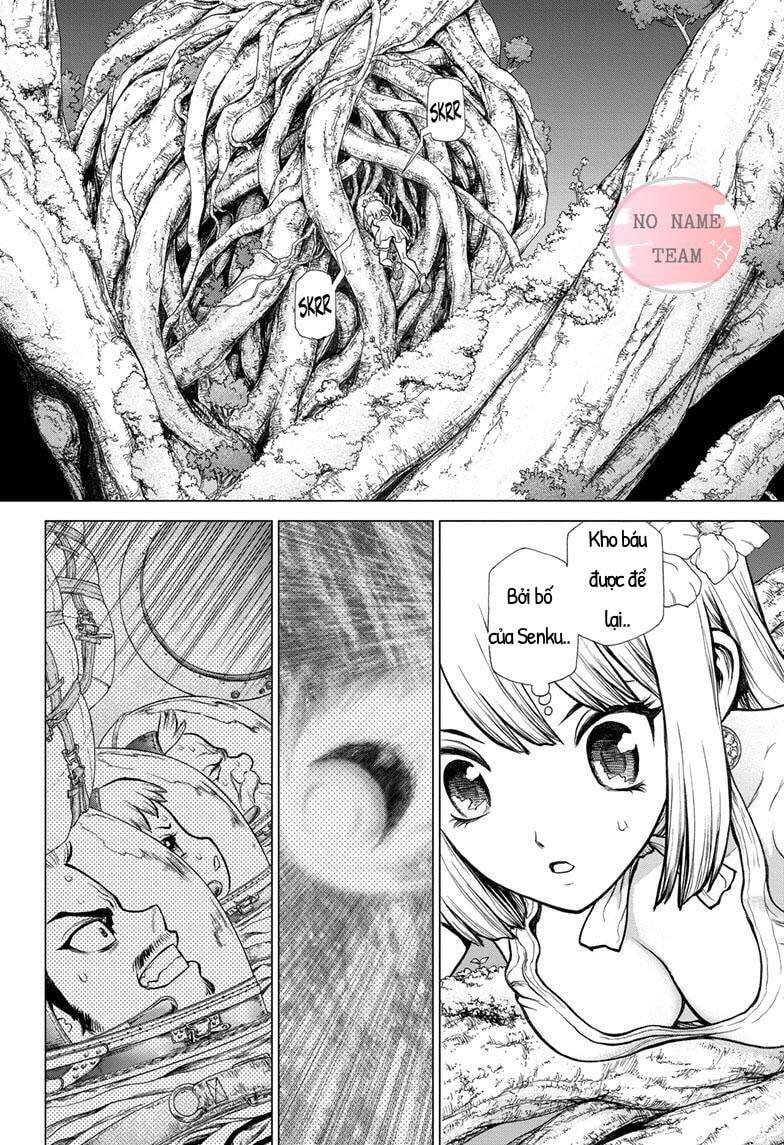 Dr.stone Chapter 114 - 3