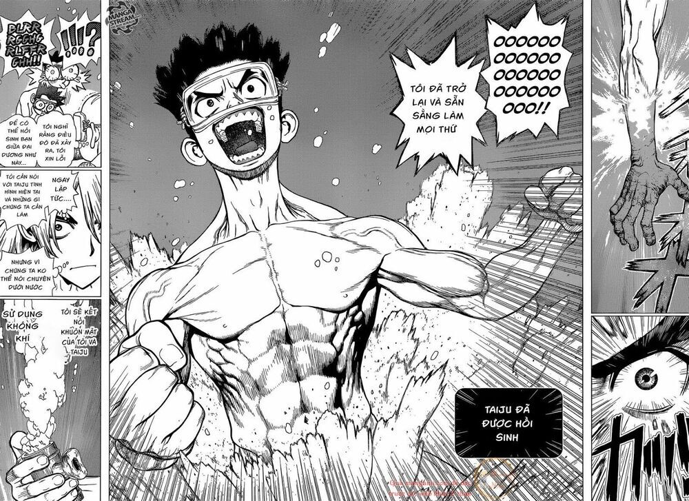 Dr.stone Chapter 118 - 12