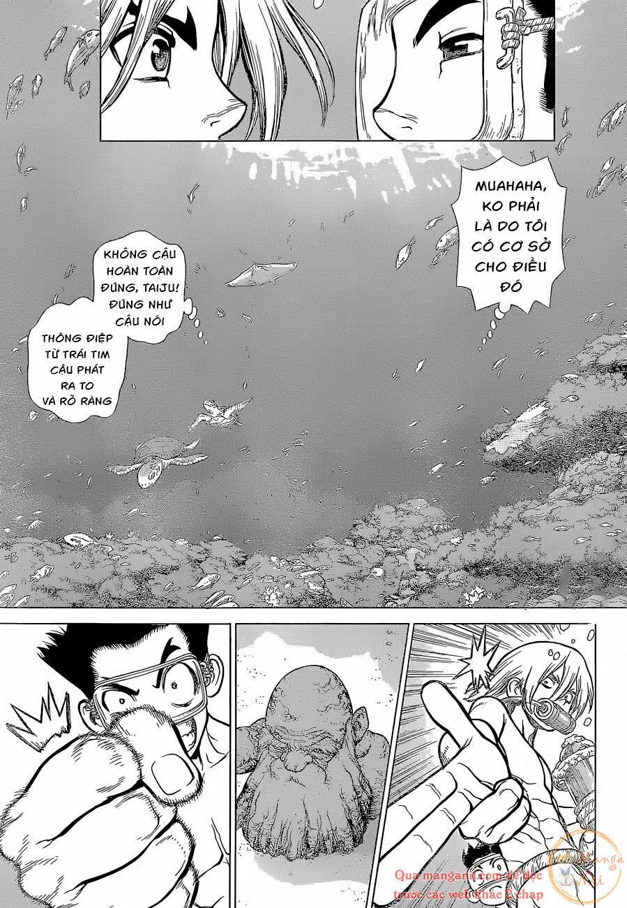 Dr.stone Chapter 118 - 16