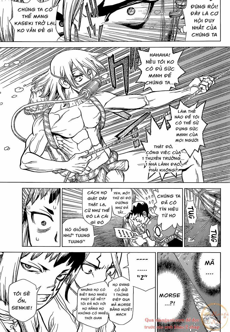 Dr.stone Chapter 118 - 6