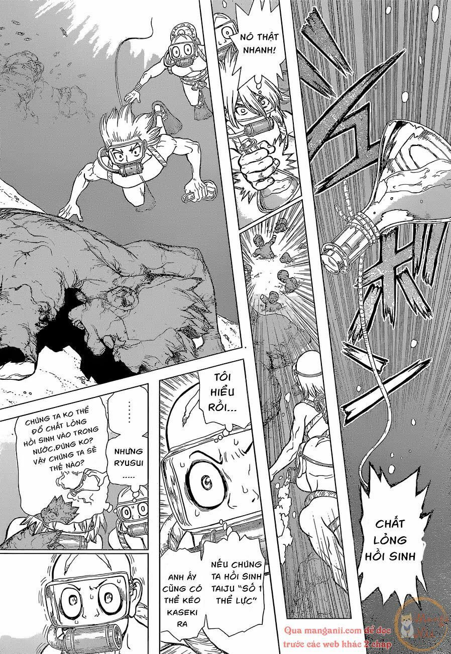 Dr.stone Chapter 118 - 8