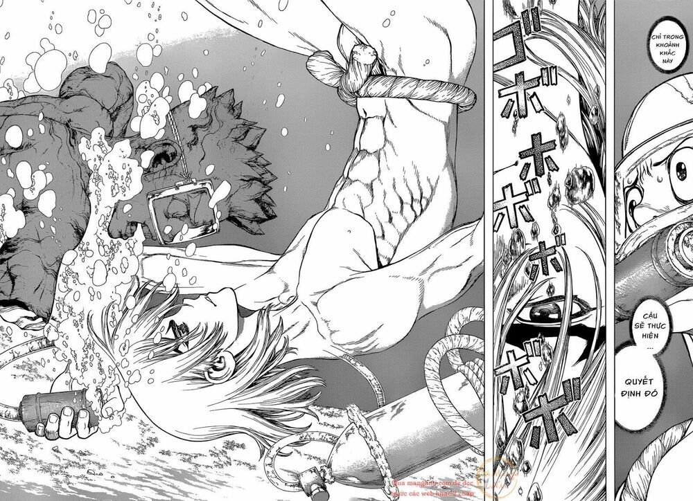 Dr.stone Chapter 118 - 9