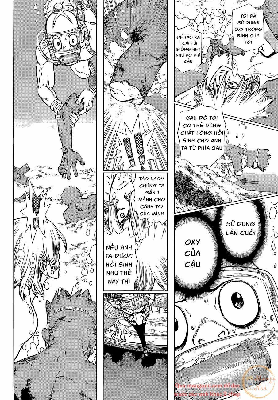 Dr.stone Chapter 118 - 10