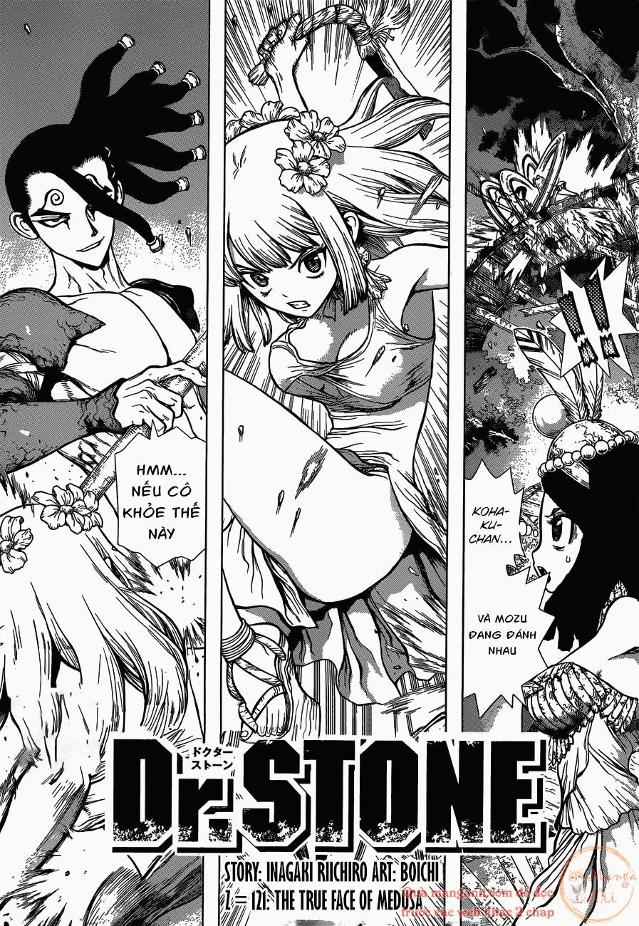 Dr.stone Chapter 121 - 1