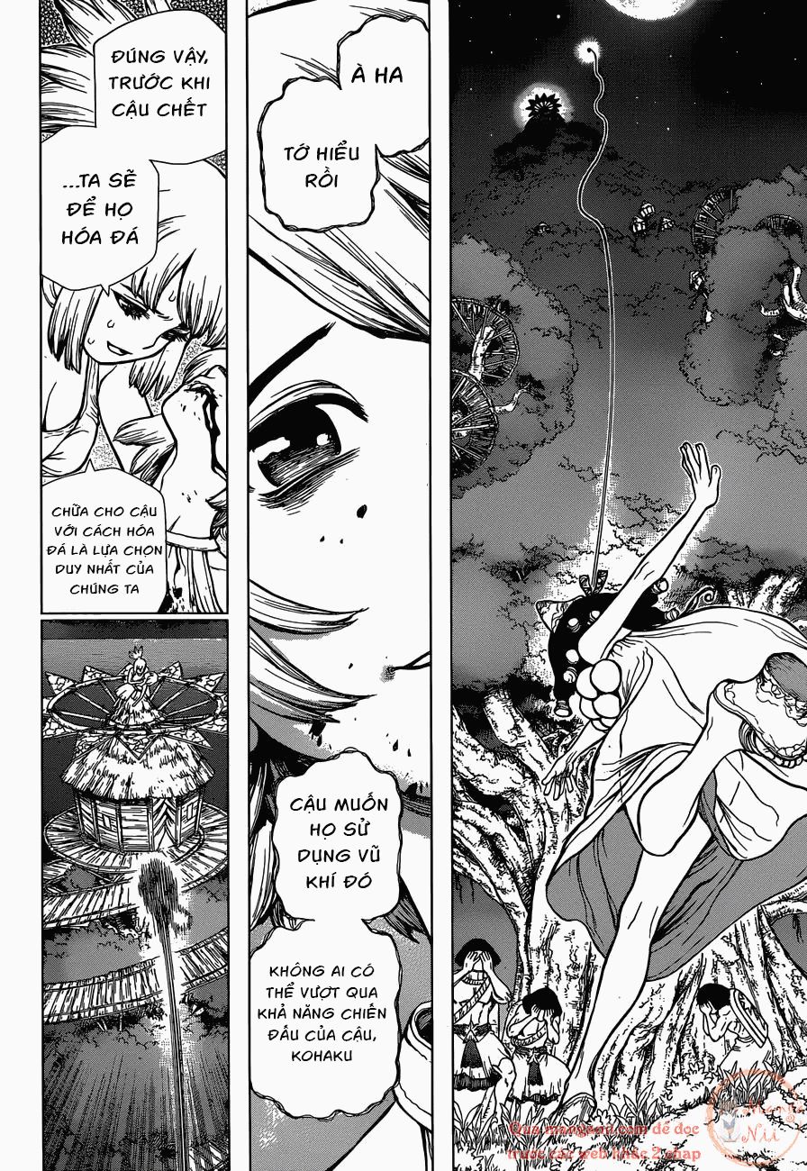 Dr.stone Chapter 121 - 14