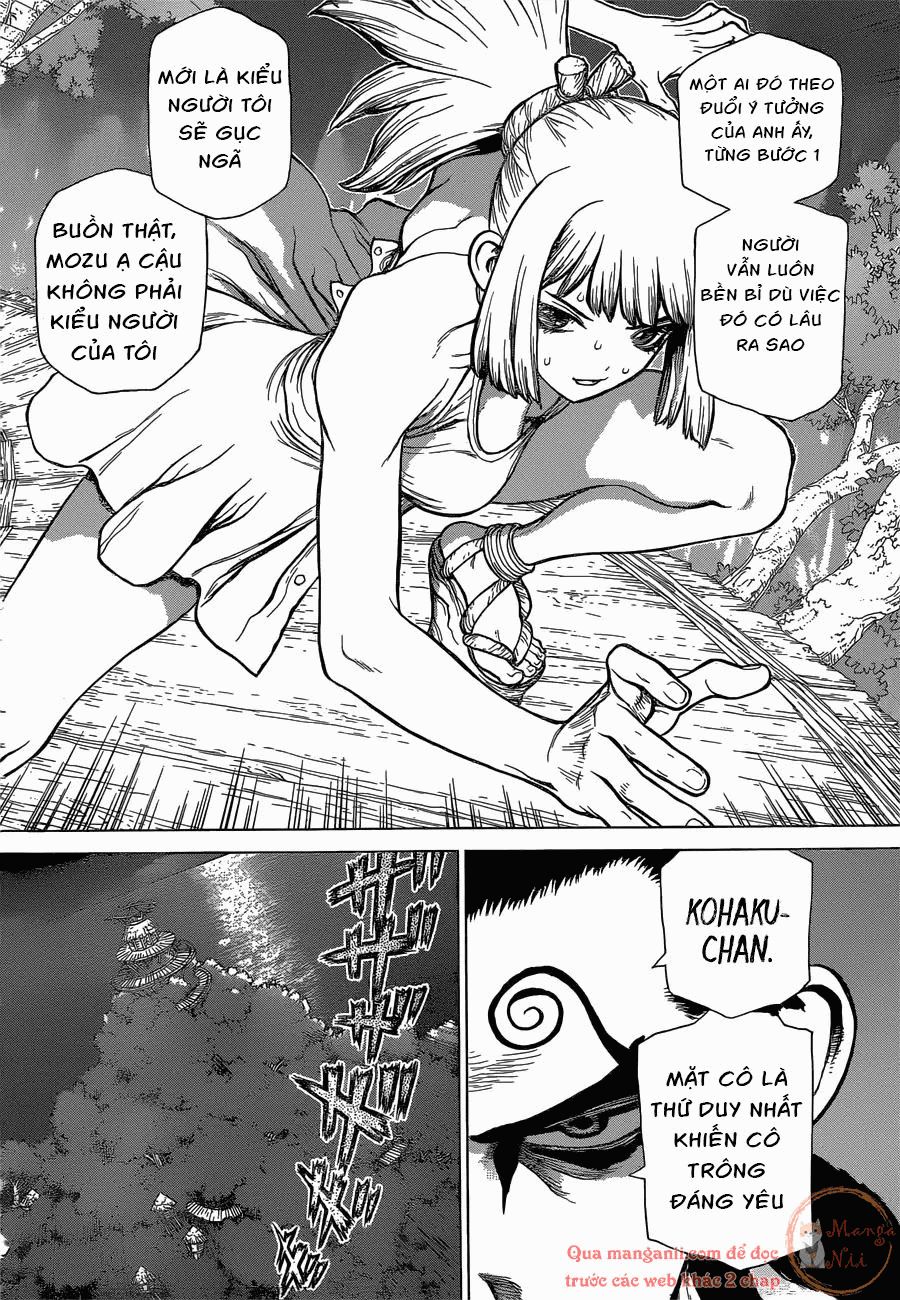 Dr.stone Chapter 121 - 4