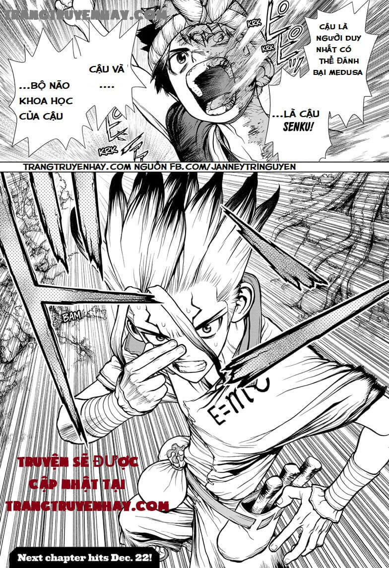 Dr.stone Chapter 133 - 18