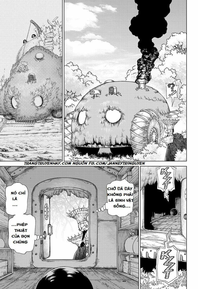 Dr.stone Chapter 134 - 15