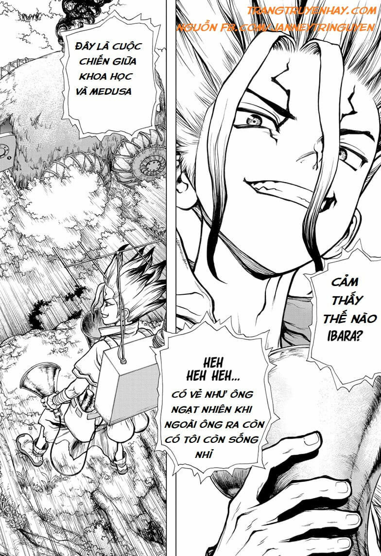 Dr.stone Chapter 134 - 18