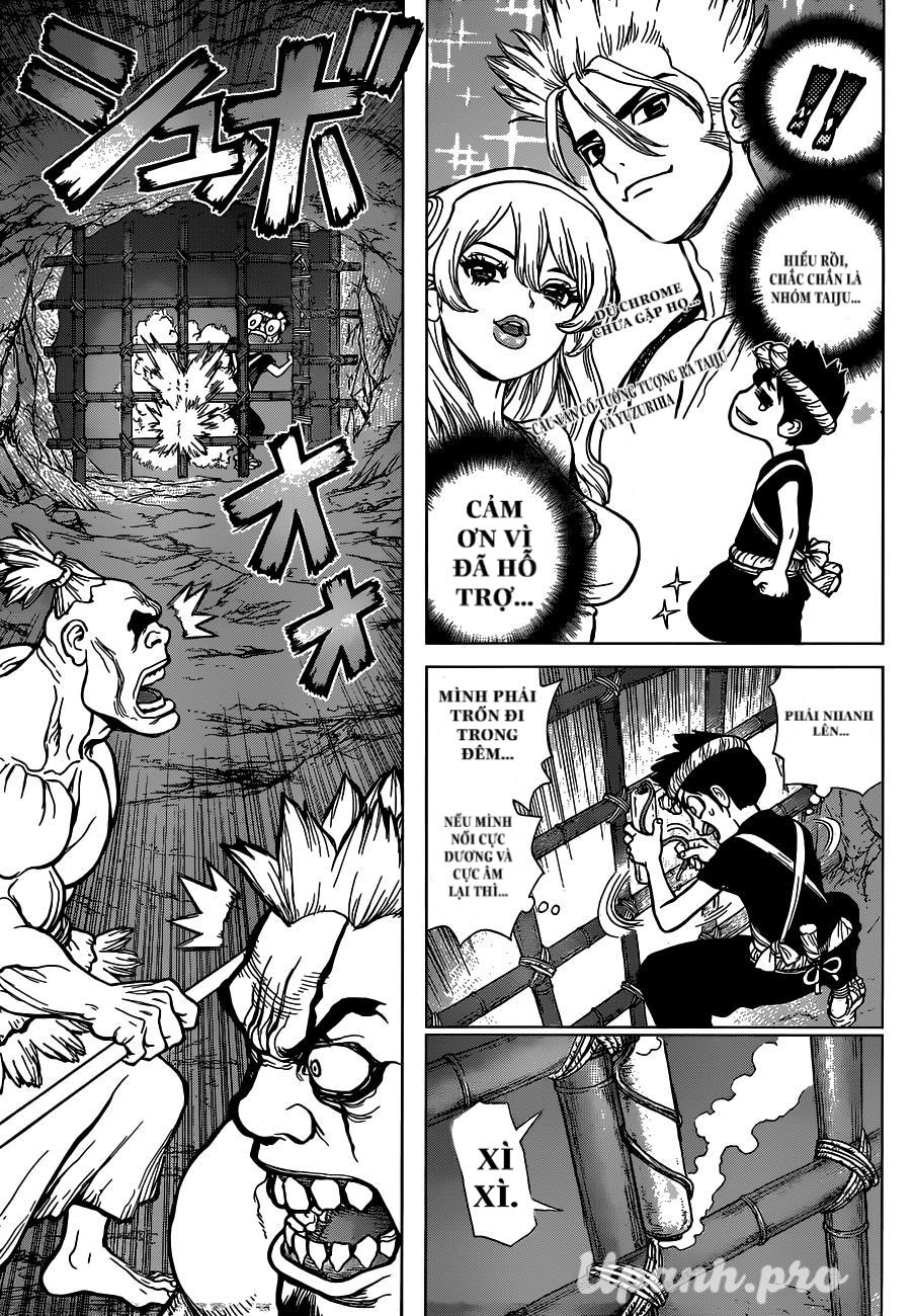 Dr.stone Chapter 71 - 11