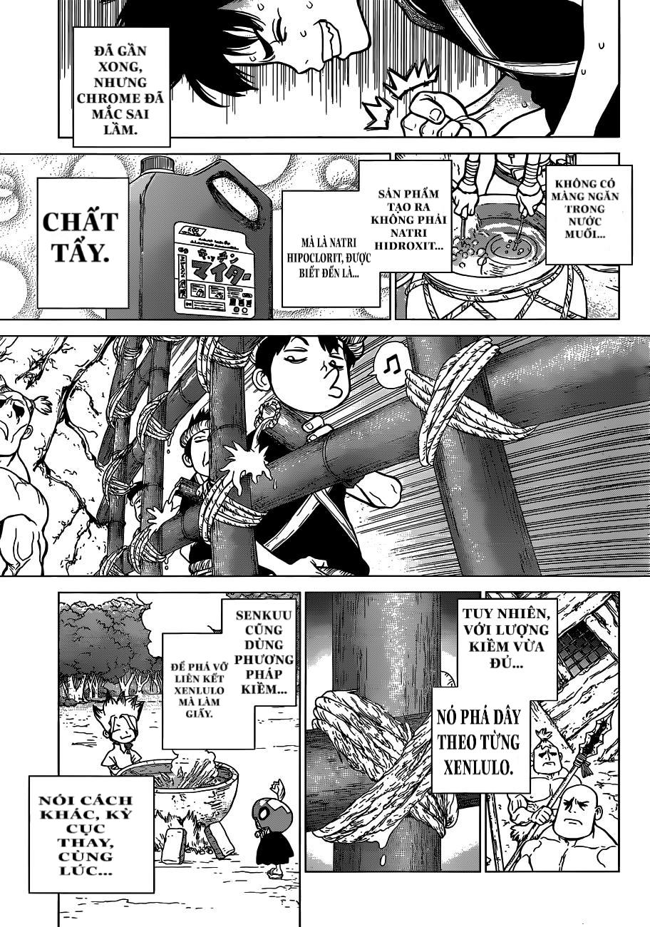 Dr.stone Chapter 71 - 19