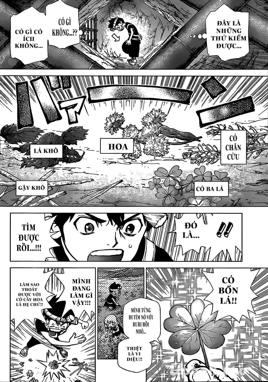 Dr.stone Chapter 71 - 8